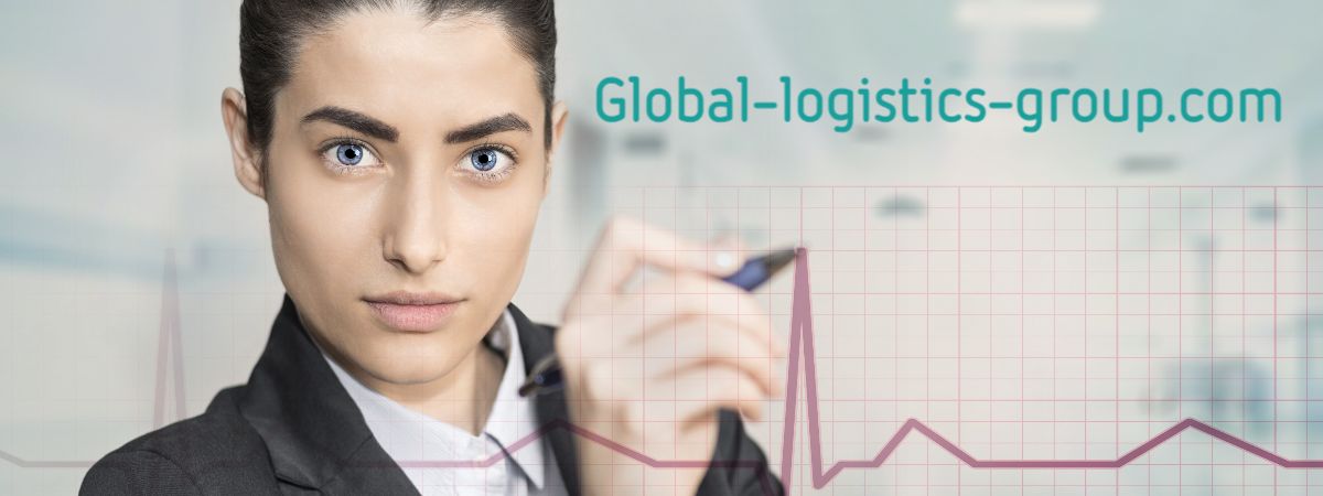 global-logistics-group.com